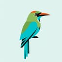 Motmot bird logo